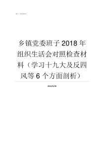 乡镇党委班子2018年组织生活会对照检查材料学习十九大及反四风等6个方面剖析乡镇党委班子成员