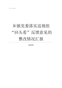 乡镇党委落实巡视组回头看反馈意见的整改情况汇报巡视组巡视落实情况