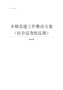 乡镇党建工作整改方案结合巡查组反馈