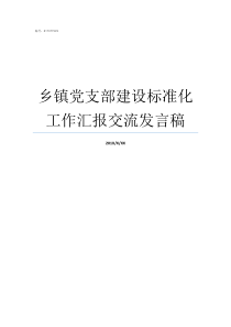 乡镇党支部建设标准化工作汇报交流发言稿党支部标准化建设