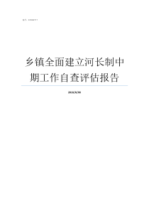 乡镇全面建立河长制中期工作自查评估报告