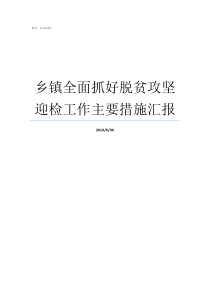 乡镇全面抓好脱贫攻坚迎检工作主要措施汇报脱贫攻坚