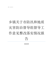 乡镇关于市防汛和地质灾害防治督导组督导工作意见整改落实情况报告防汛减灾和地质灾害防治