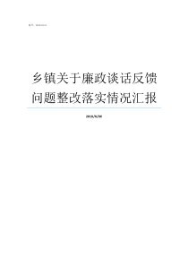 乡镇关于廉政谈话反馈问题整改落实情况汇报履职廉洁谈话报告