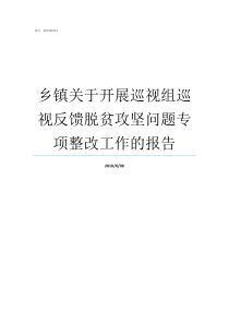 乡镇关于开展巡视组巡视反馈脱贫攻坚问题专项整改工作的报告