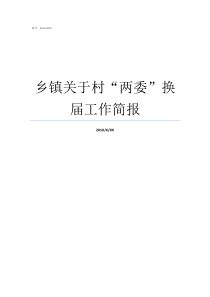 乡镇关于村两委换届工作简报两委会