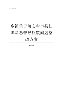 乡镇关于落实省市县扫黑除恶督导反馈问题整改方案乡镇落实三服务