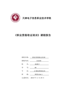 校园网络组建实训报告