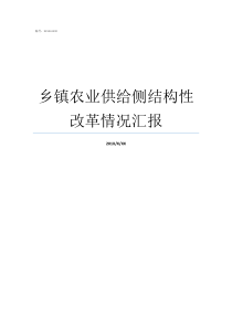 乡镇农业供给侧结构性改革情况汇报乡镇组织工作汇报