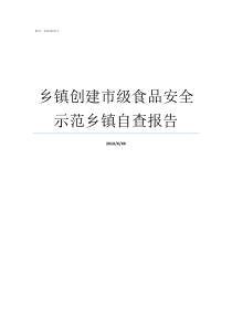 乡镇创建市级食品安全示范乡镇自查报告