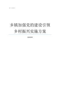 乡镇加强党的建设引领乡村振兴实施方案关于加强党的建设