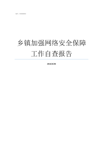 乡镇加强网络安全保障工作自查报告