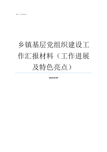 乡镇基层党组织建设工作汇报材料工作进展及特色亮点如何加强基层党组织建设