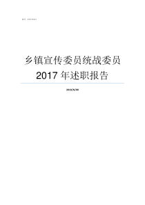 乡镇宣传委员统战委员2017年述职报告