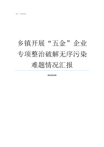 乡镇开展五金企业专项整治破解无序污染难题情况汇报乡镇工作如何开展