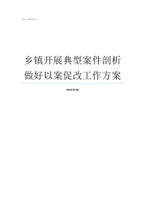 乡镇开展典型案件剖析做好以案促改工作方案典型案件剖析报告