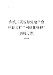 乡镇开展智慧党建平台建设实行网格化管理实施方案