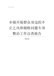 乡镇开展群众身边的不正之风和腐败问题专项整治工作自查报告