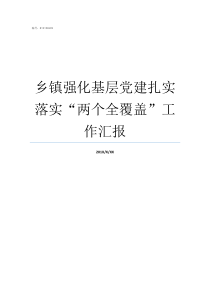 乡镇强化基层党建扎实落实两个全覆盖工作汇报