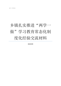 乡镇扎实推进两学一做学习教育常态化制度化经验交流材料两学一做