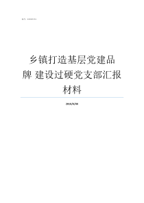 乡镇打造基层党建品牌nbsp建设过硬党支部汇报材料