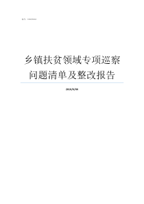 乡镇扶贫领域专项巡察问题清单及整改报告