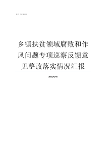 乡镇扶贫领域腐败和作风问题专项巡察反馈意见整改落实情况汇报