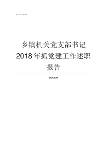 乡镇机关党支部书记2018年抓党建工作述职报告乡镇机关党支部书记一般由谁担任