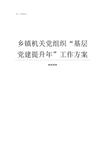 乡镇机关党组织基层党建提升年工作方案加强乡镇基层党组织