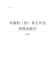 乡镇村居务公开自查情况报告巡察乡镇反馈情况报告