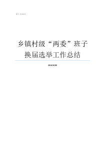 乡镇村级两委班子换届选举工作总结两委班子个人工作总结