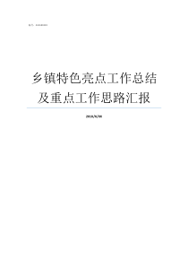 乡镇特色亮点工作总结及重点工作思路汇报乡镇党建特色亮点工作