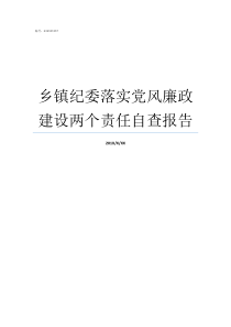 乡镇纪委落实党风廉政建设两个责任自查报告