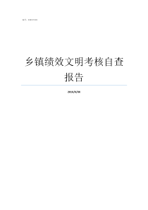 乡镇绩效文明考核自查报告乡镇绩效考核