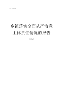 乡镇落实全面从严治党主体责任情况的报告全面从严治党六个从严