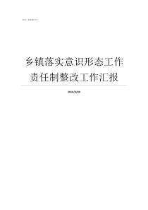 乡镇落实意识形态工作责任制整改工作汇报