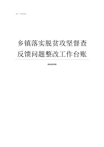 乡镇落实脱贫攻坚督查反馈问题整改工作台账脱贫攻坚督查内容