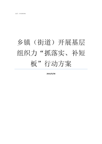 乡镇街道开展基层组织力抓落实补短板行动方案