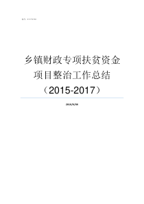 乡镇财政专项扶贫资金项目整治工作总结20152017