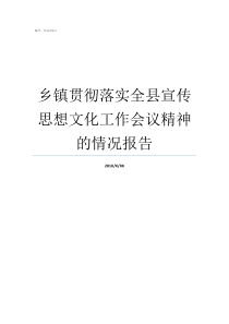 乡镇贯彻落实全县宣传思想文化工作会议精神的情况报告乡镇贯彻落实会议精神