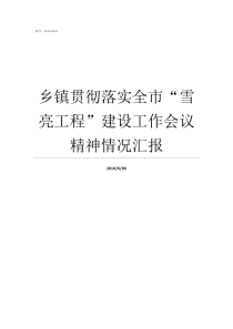 乡镇贯彻落实全市雪亮工程建设工作会议精神情况汇报乡镇贯彻落实会议精神