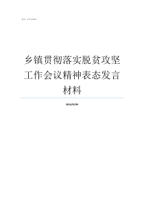 乡镇贯彻落实脱贫攻坚工作会议精神表态发言材料