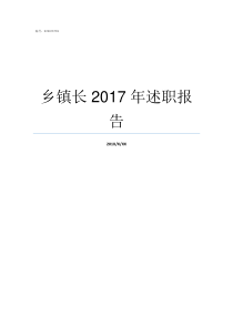 乡镇长2017年述职报告