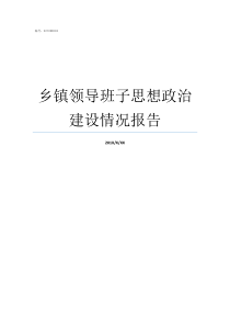 乡镇领导班子思想政治建设情况报告