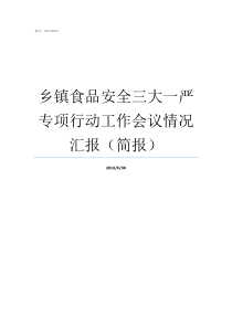 乡镇食品安全三大一严专项行动工作会议情况汇报简报