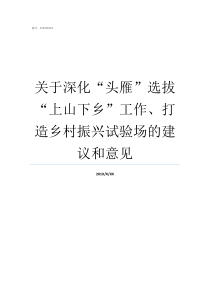 关于深化头雁选拔上山下乡工作打造乡村振兴试验场的建议和意见头雁