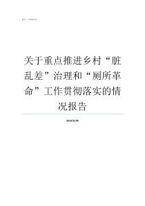 关于重点推进乡村脏乱差治理和厕所革命工作贯彻落实的情况报告什么什么什么样