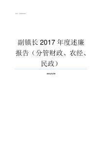 副镇长2017年度述廉报告分管财政农经民政述忘2019