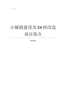 小城镇建设及XX村改造项目简介过XX改