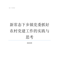 新常态下乡镇党委抓好农村党建工作的实践与思考新常态下的创新思路